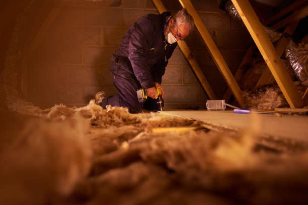 Best Specialized Insulation Services in Dry Ridge, OH